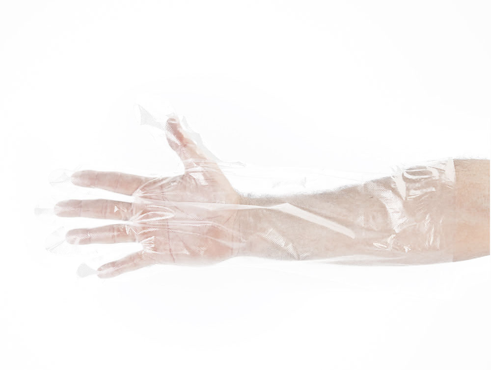 (image for) #1 Poly Glove Brand Elbow Length Polyethelyne Disposable Glove